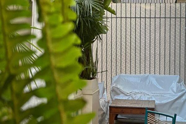 New charming Modern lower ground small garden furnished apartment rent furnished walking to french school maadi