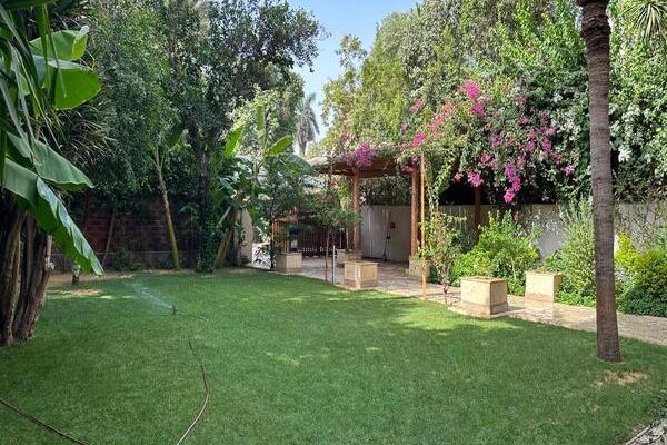 Before you buy a property? in egypt